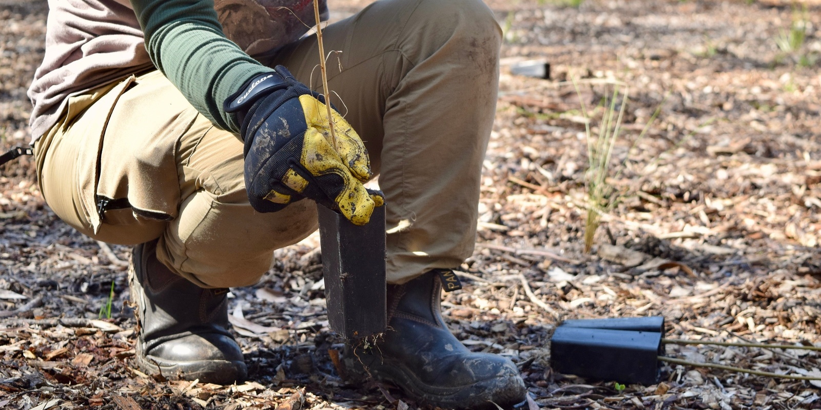 Banner image for Urban Guerrillas Planting and Working Bee