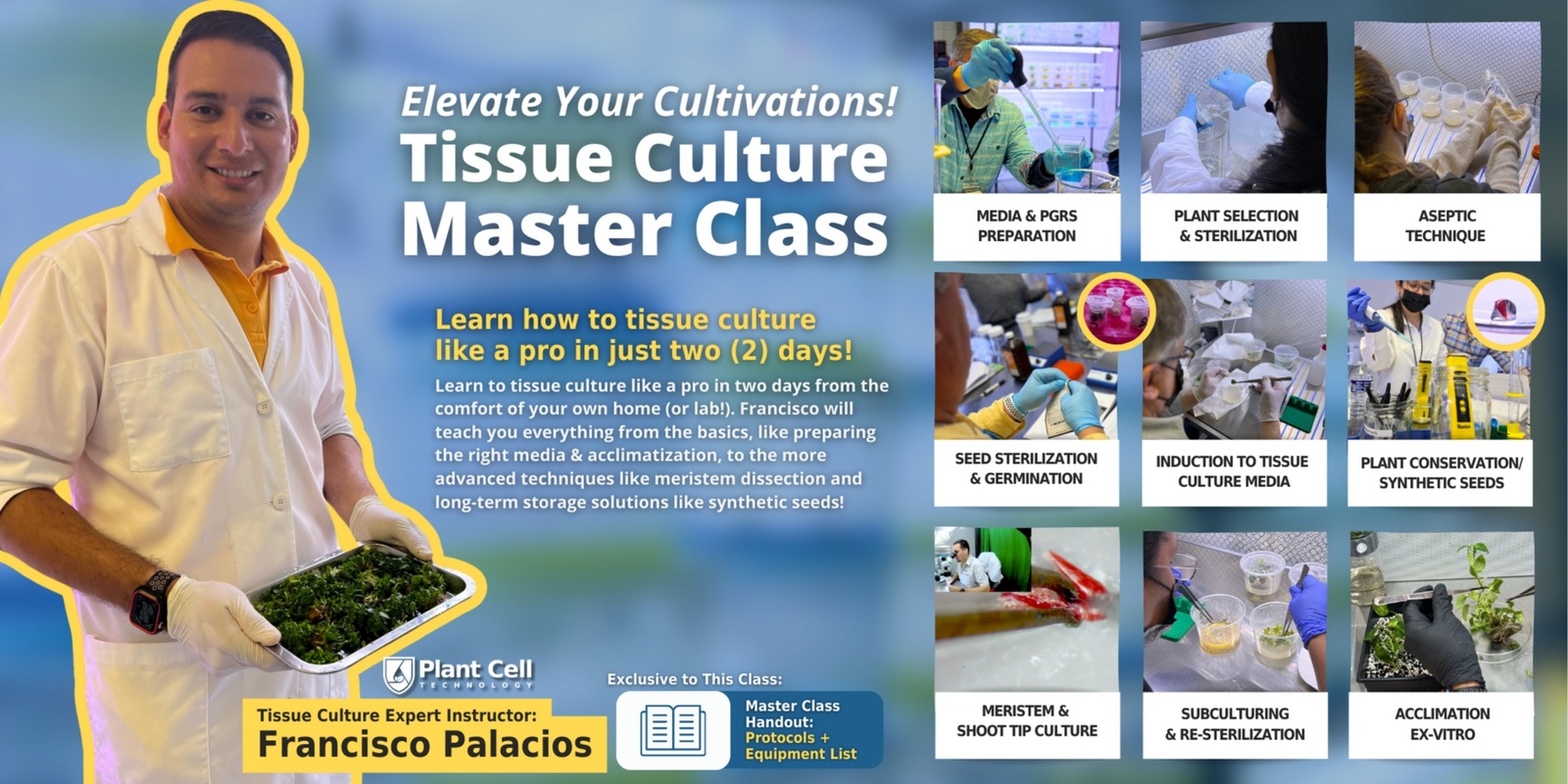 Banner image for  Online LIVE Tissue Culture Master Class: Houseplants