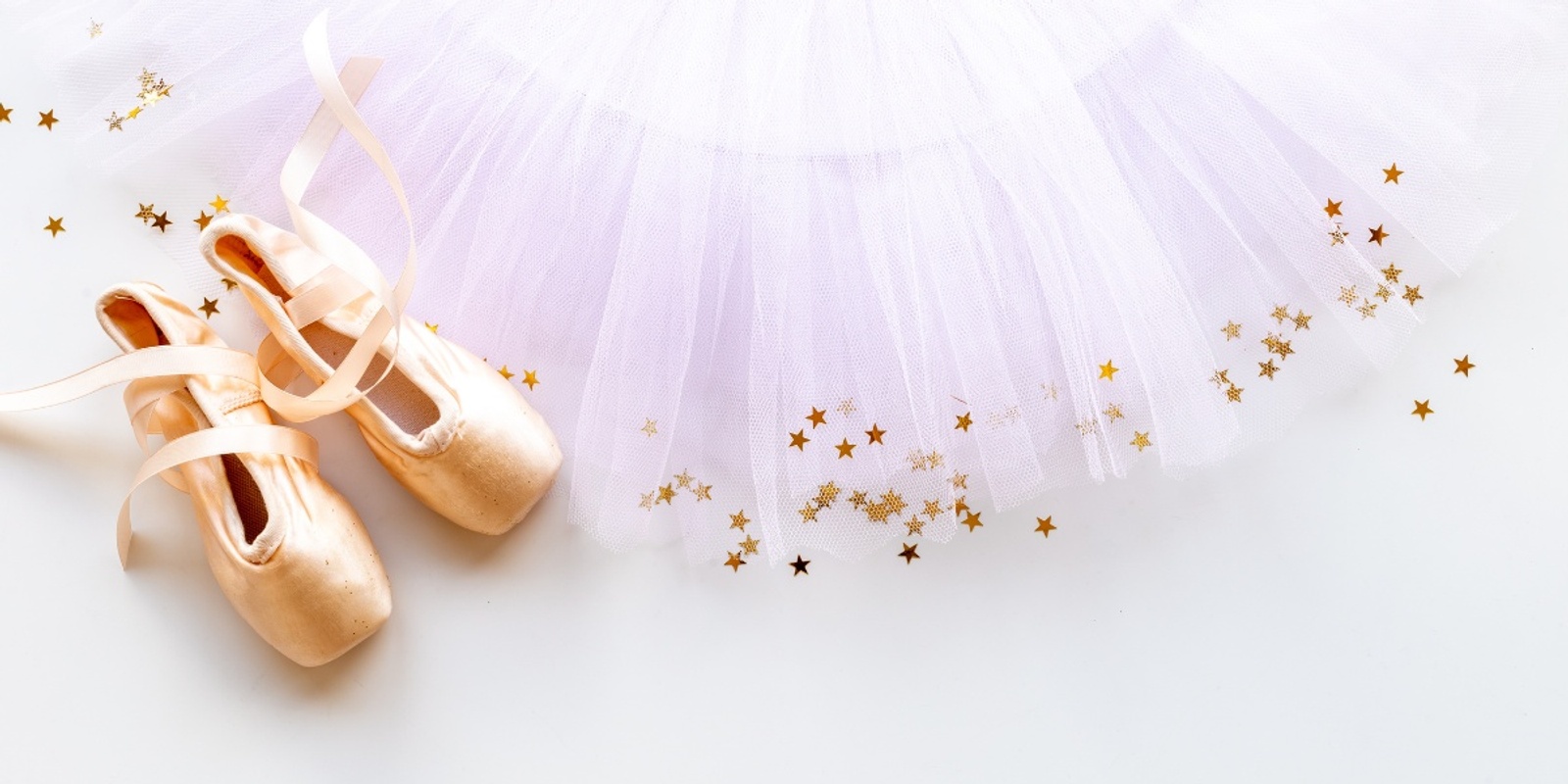 Banner image for Ballerinas in Bloom