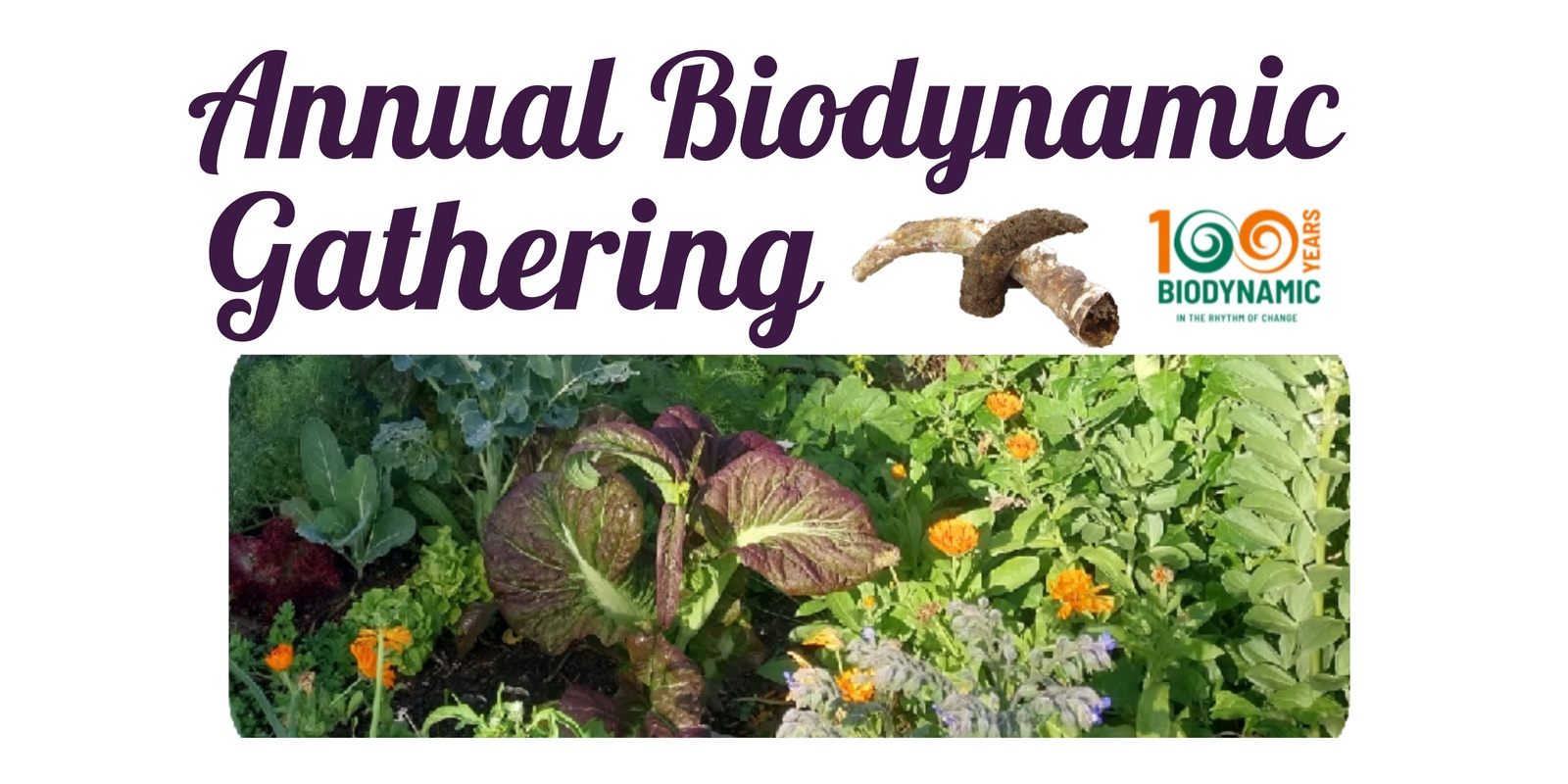 Banner image for Enlivening soil with Biodynamics