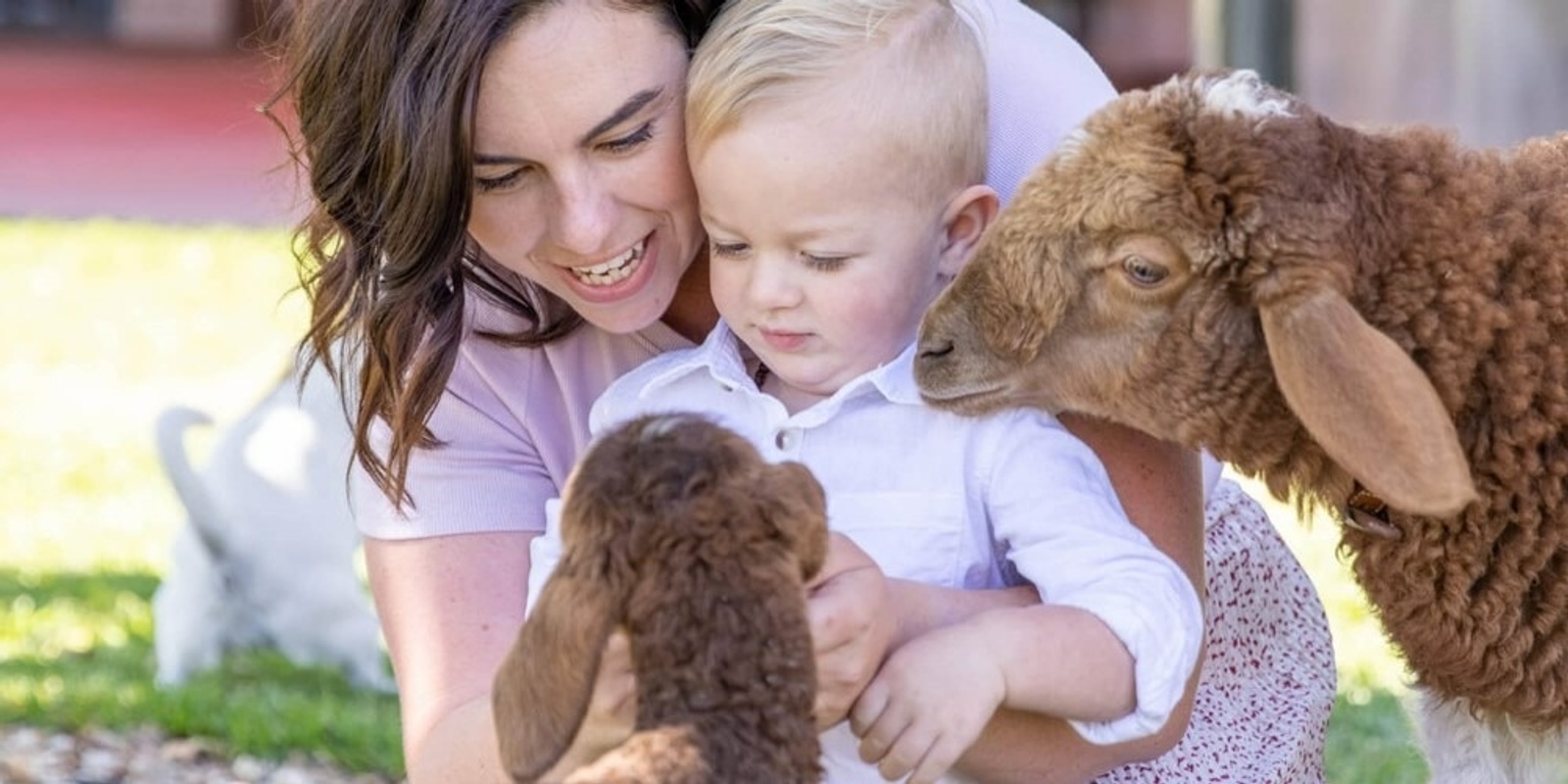 Banner image for Towri Farm Open Day