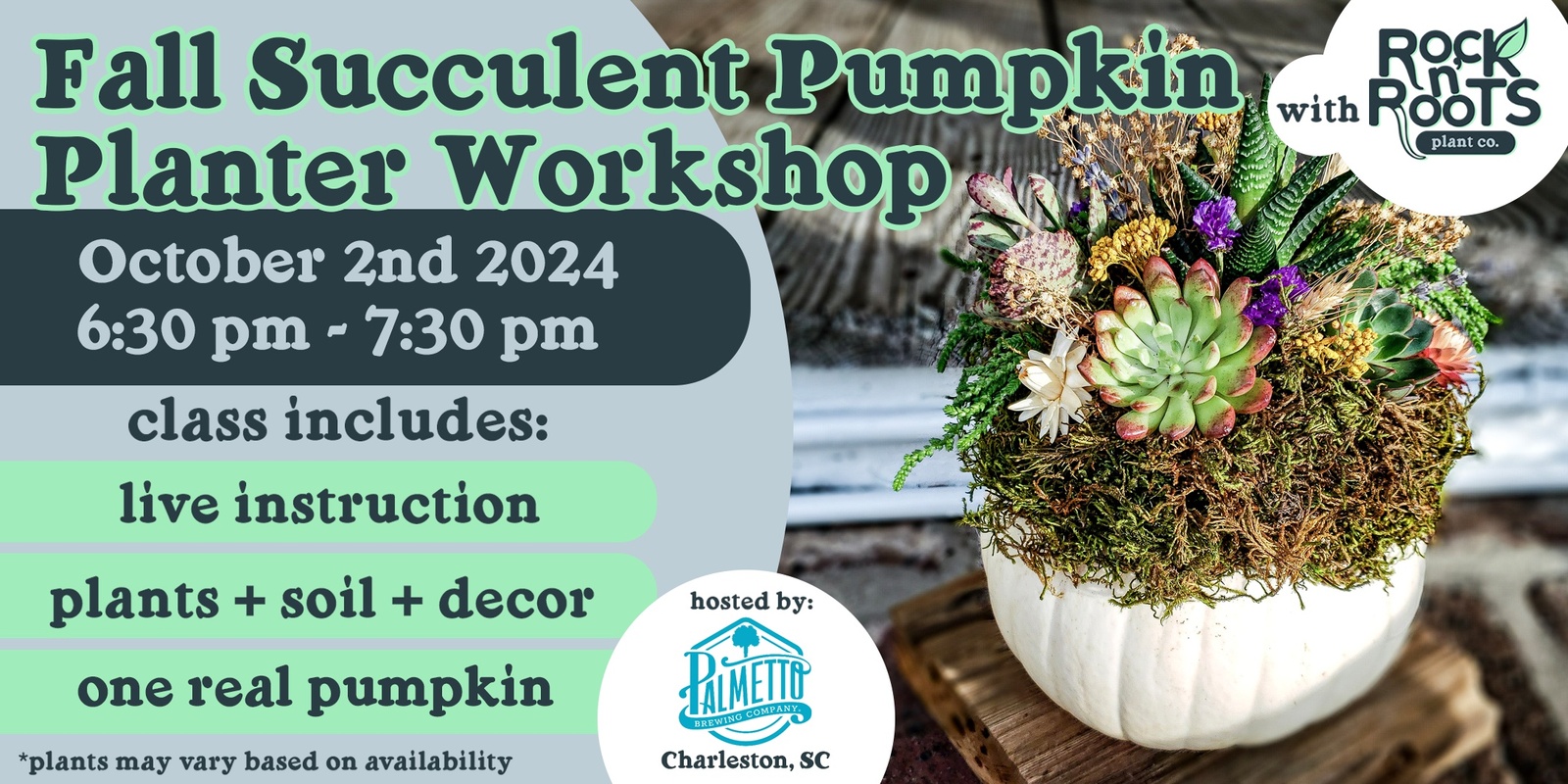 Banner image for Fall Succulent Pumpkin Planter Workshop at Palmetto Brewing (Charleston, SC)