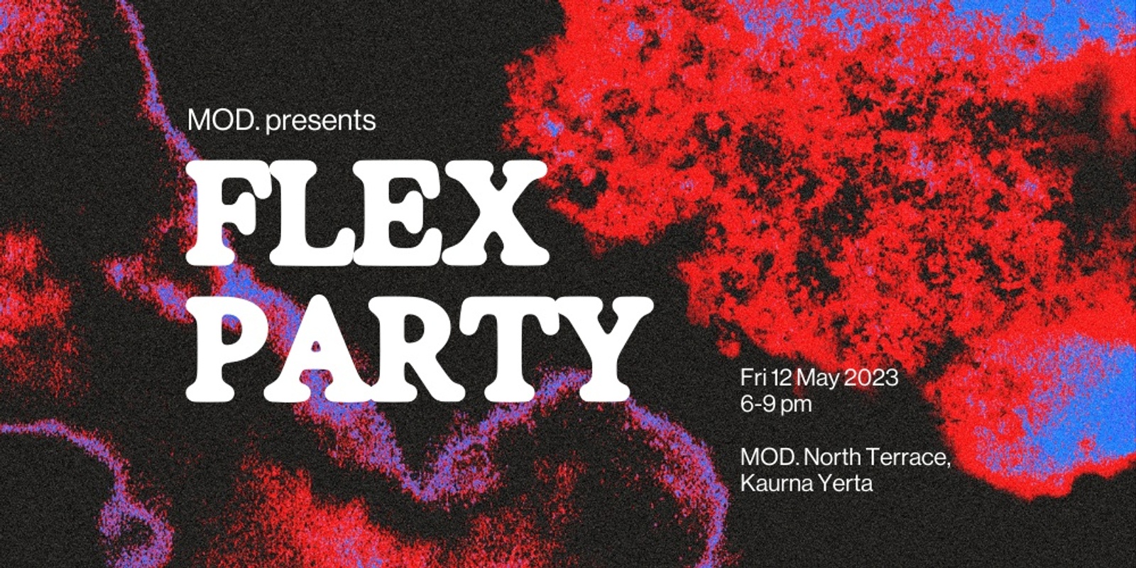 Banner image for FLEX PARTY