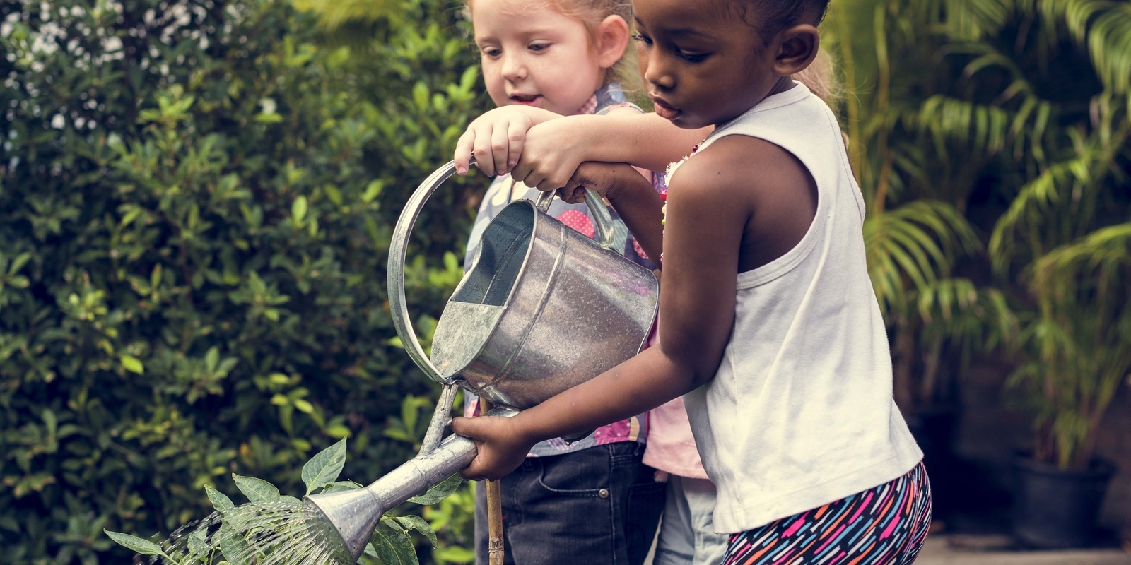 Banner image for Homeschool Gardening Workshop