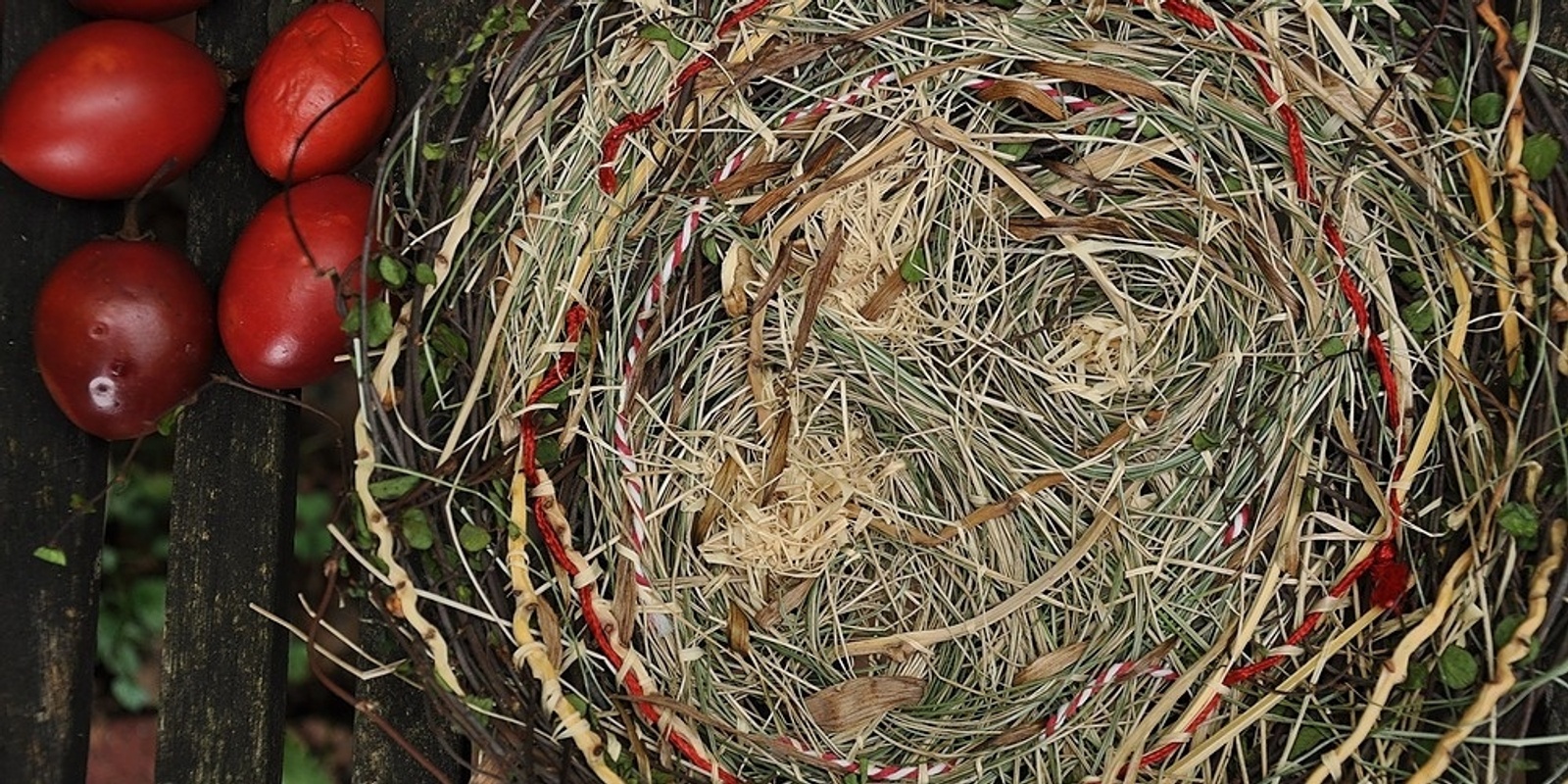 Banner image for Plant Walk, Making String and Weaving Nests