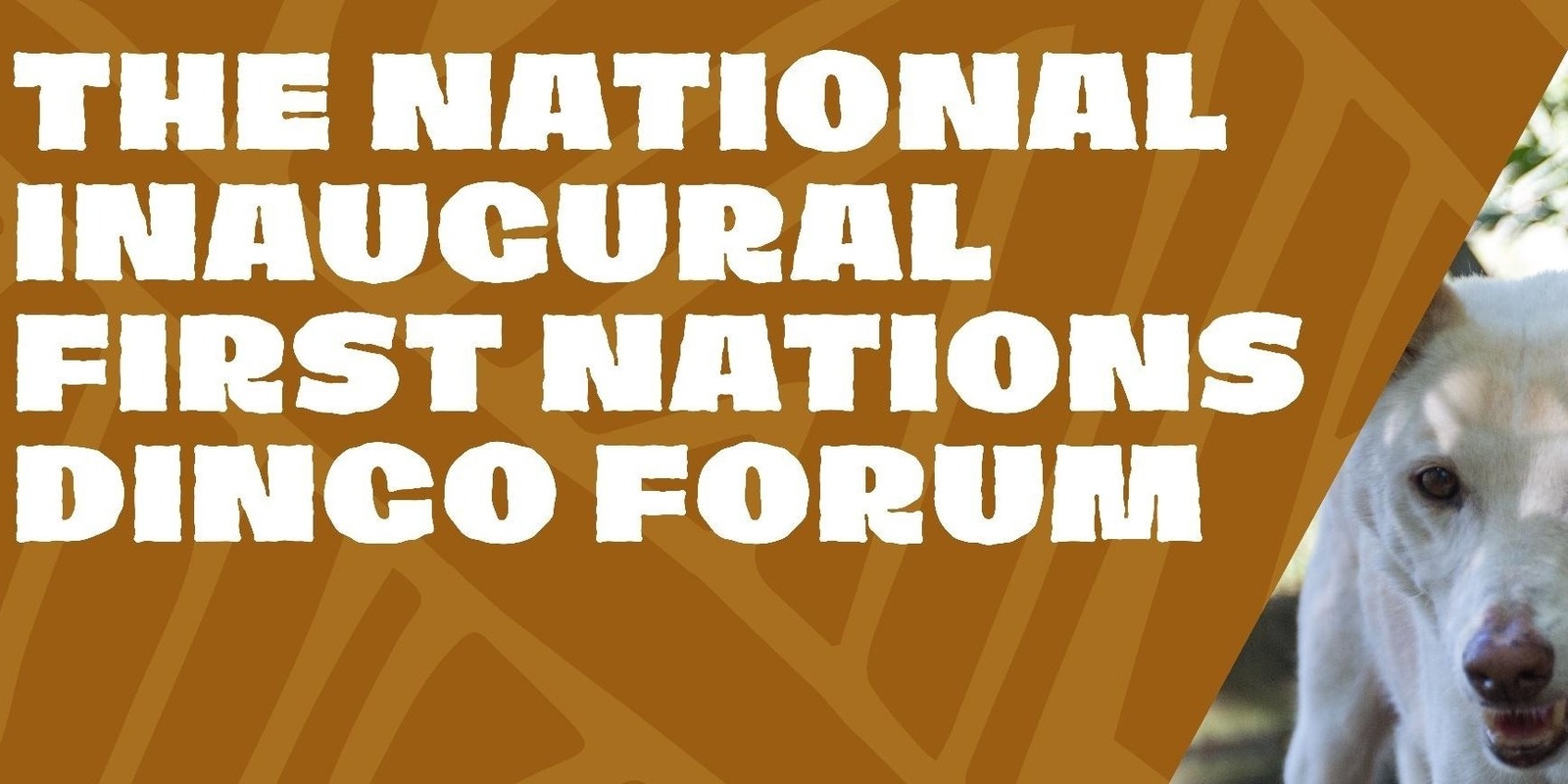 Banner image for National Inaugural First Nations Dingo Forum - LIVESTREAM ACCESS