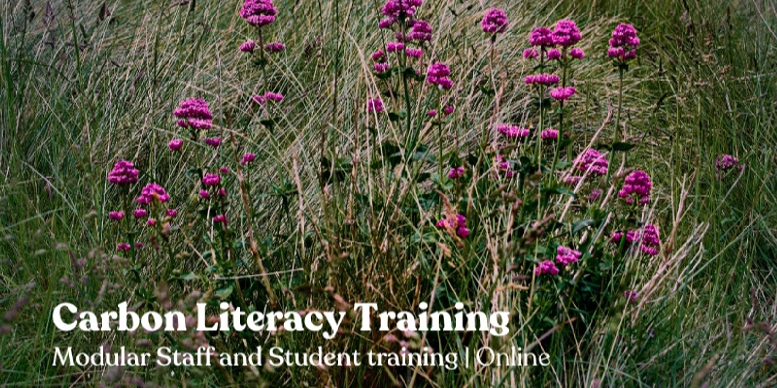 Banner image for Modular Staff and Student Carbon Literacy Training 2