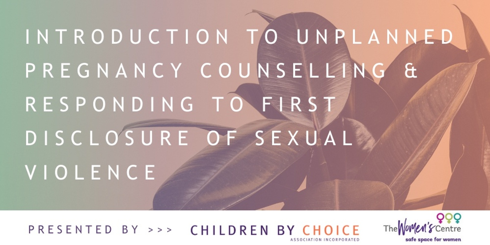 Banner image for Introduction to Unplanned Pregnancy Counselling & Responding to First Disclosure of Sexual Violence Townsville  - full day