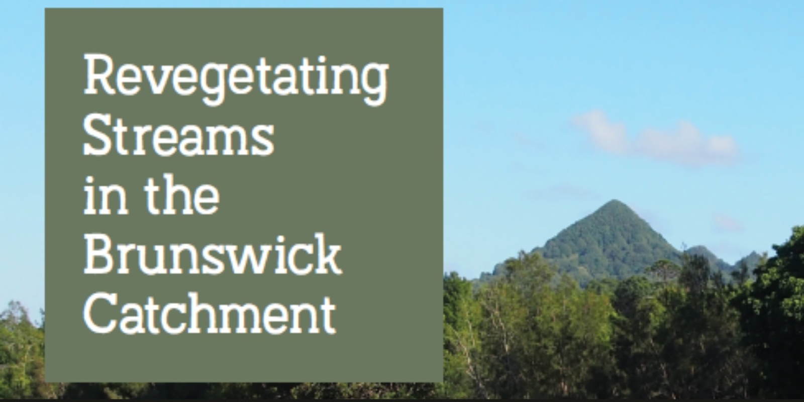 Banner image for Revegetating Streams in the Brunswick Catchment