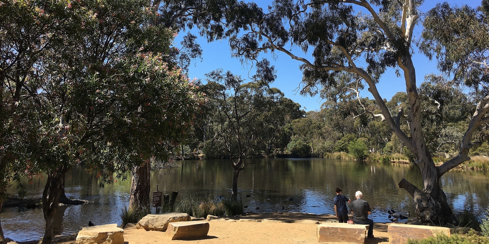 Banner image for The Trees in Us - workshop -Wittunga Gardens