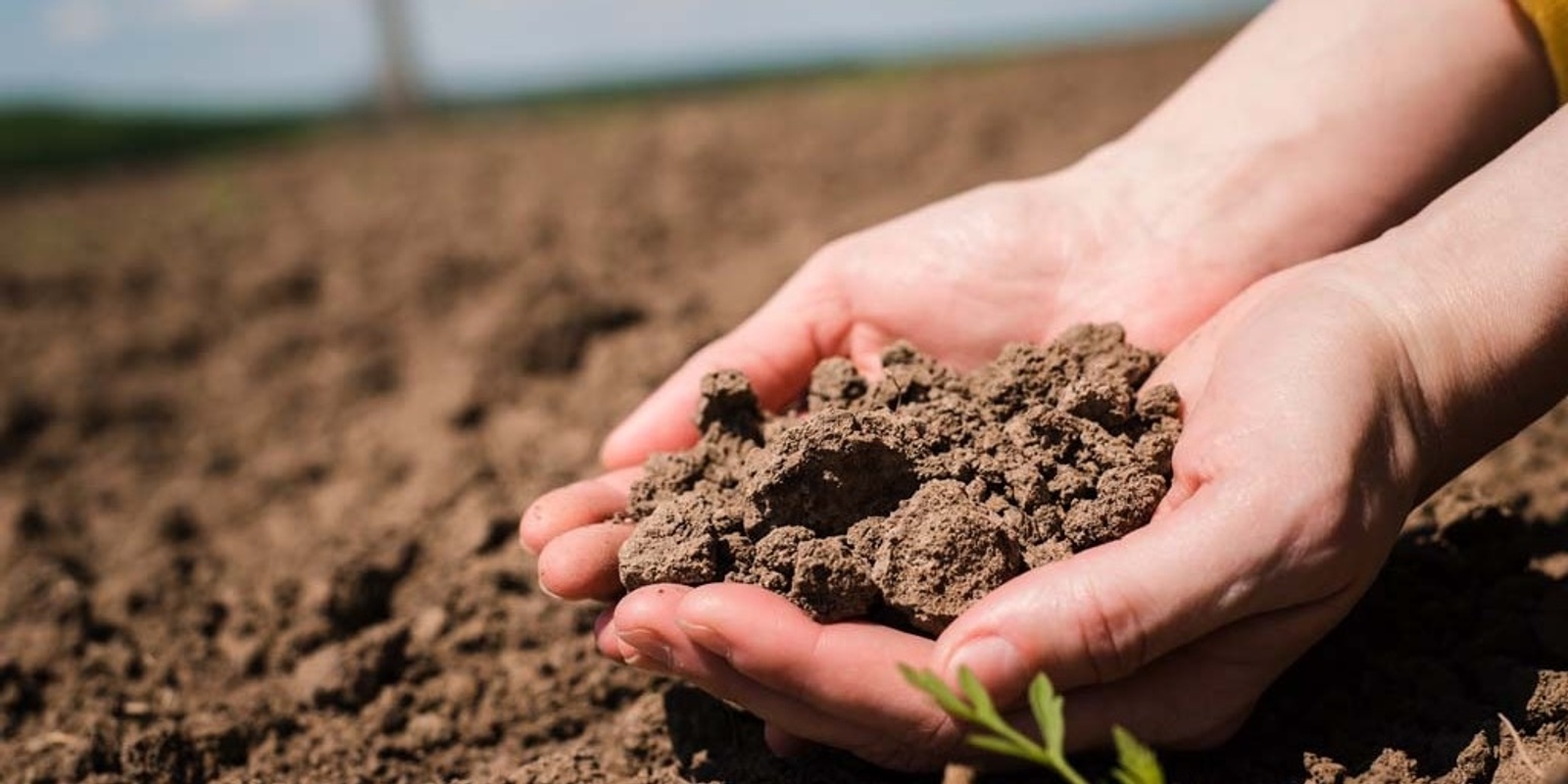 Banner image for Keeping Your Hands on the Pulse - Farmer Incubator 2-day Masterclass & Field Trip about Soil Management