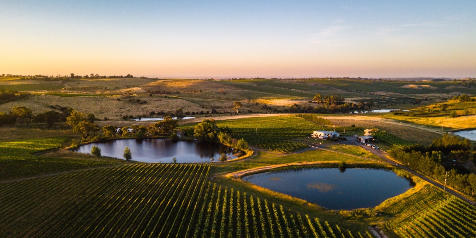 Nashdale Lane Wines 's banner