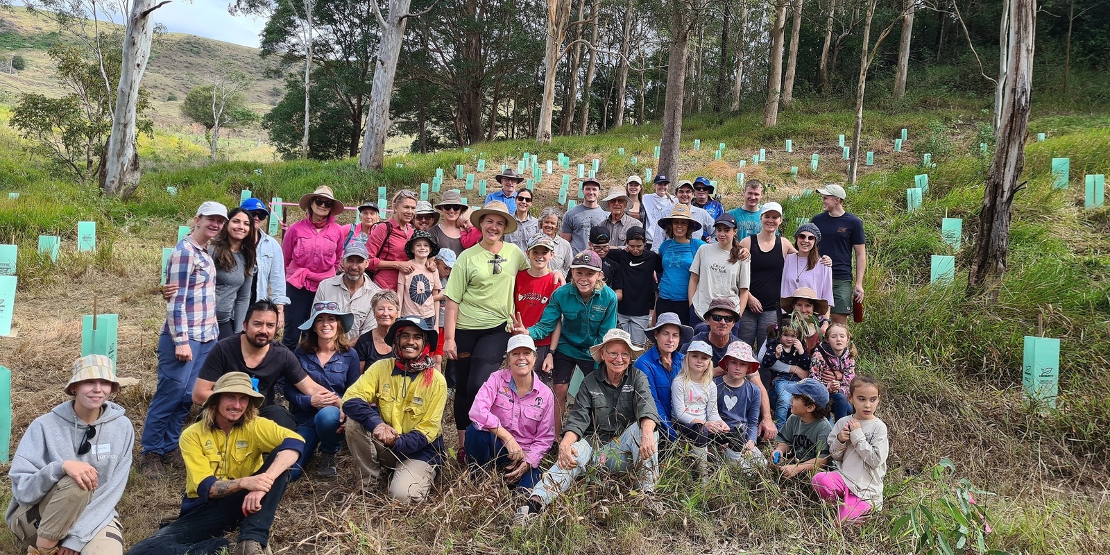 Banner image for Tuan Environment Reserve - Community Koala Tree Planting
