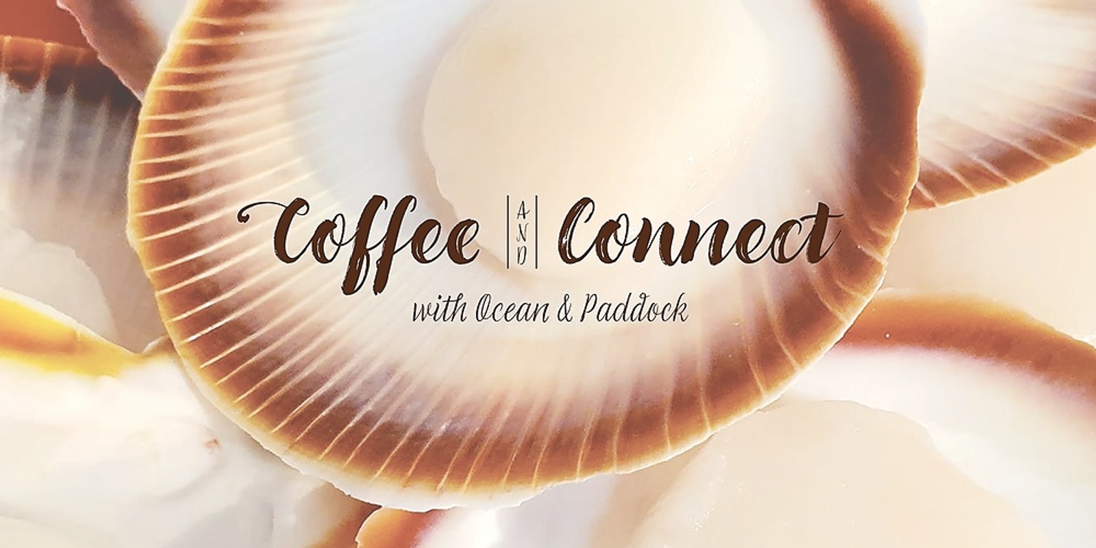 Coffee and Connect with Ocean & Paddock
