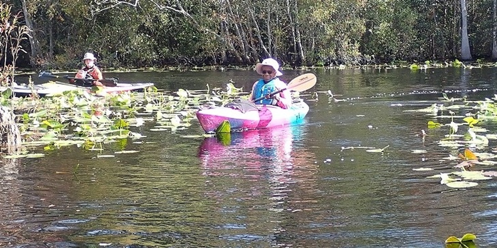 Banner image for Spring in the Okefenokee Swamp, 3 Days of FUN.