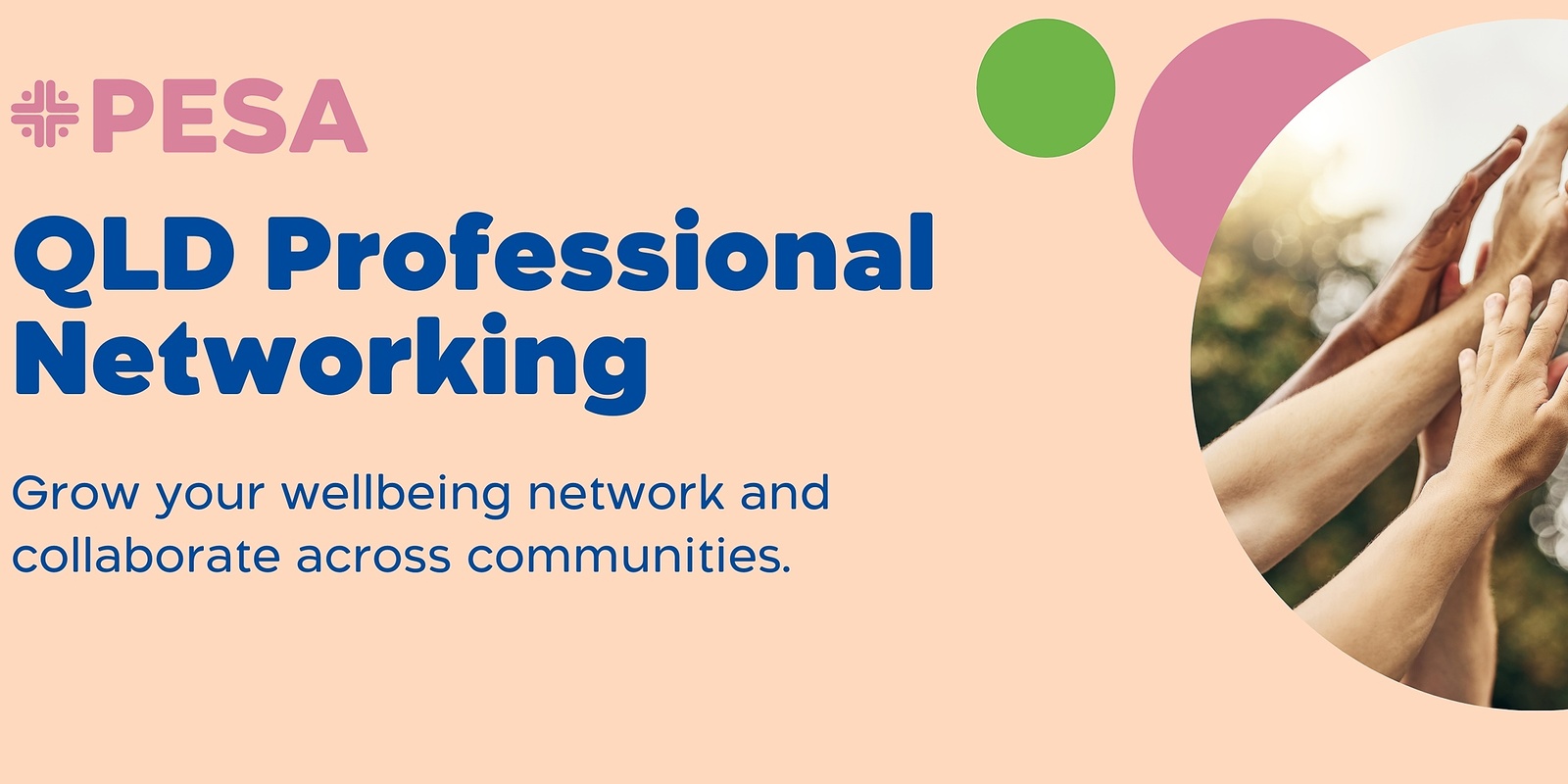 Banner image for PESA QLD Professional Networking 