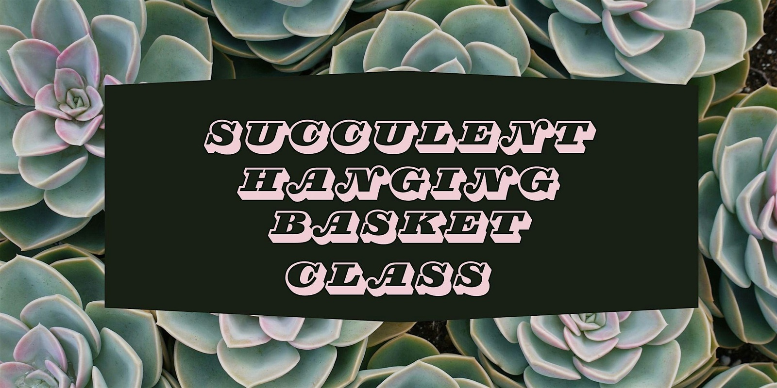 Banner image for Succulent Hanging Basket Workshop