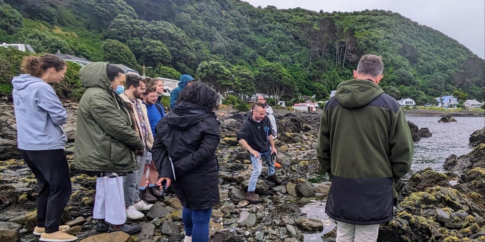 Banner image for Meet the Seaweeds: Guided Seaweed Walk