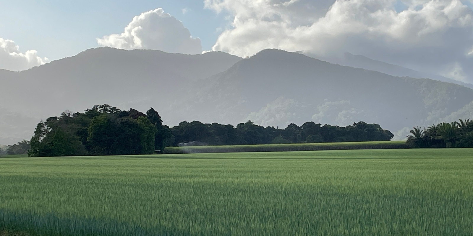 Banner image for Farmacist Wet Tropics Local Food Network Bus Tour - Connecting local food producers and processors 