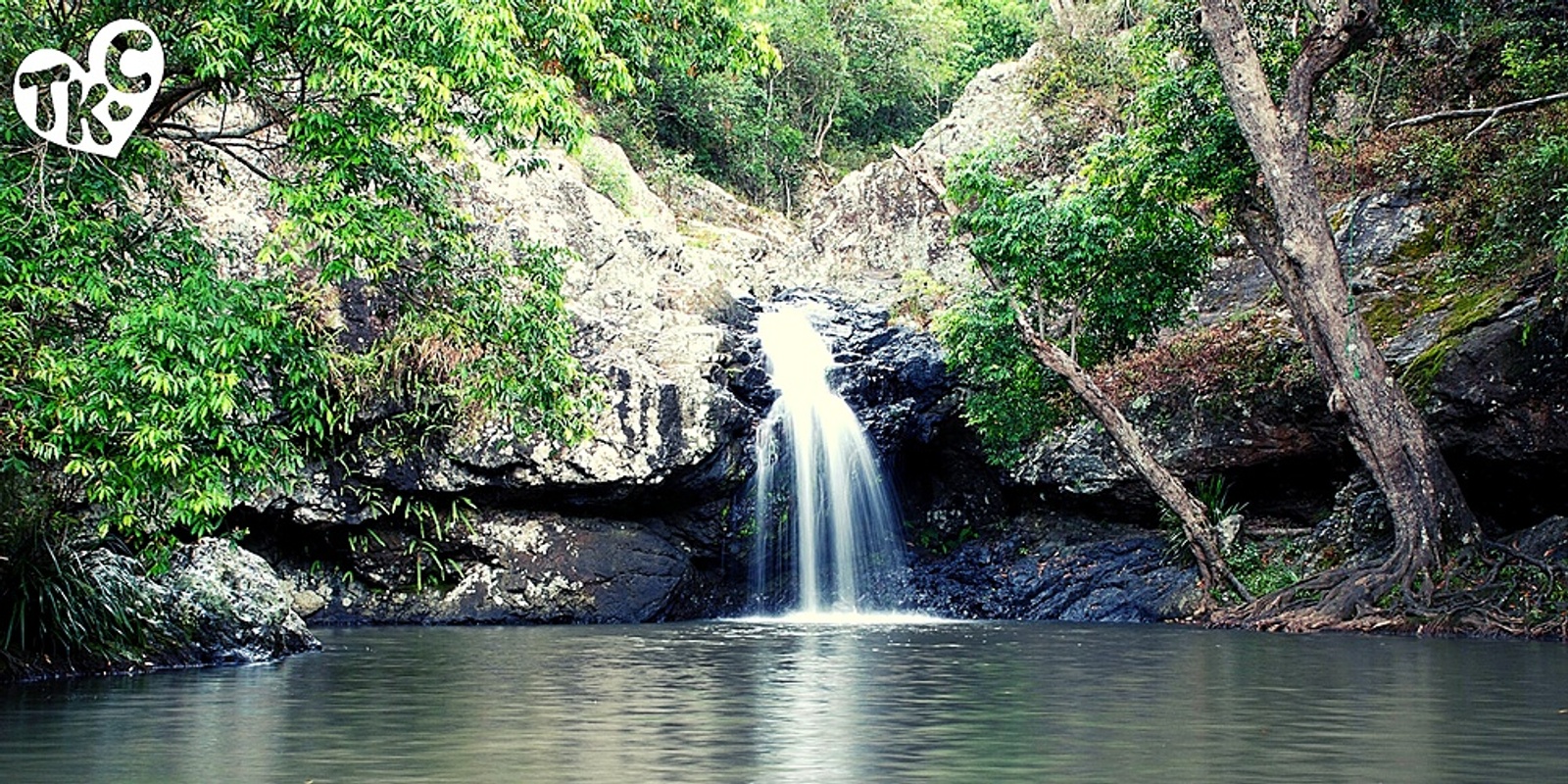 Banner image for Kondalilla Falls Circuit Walk