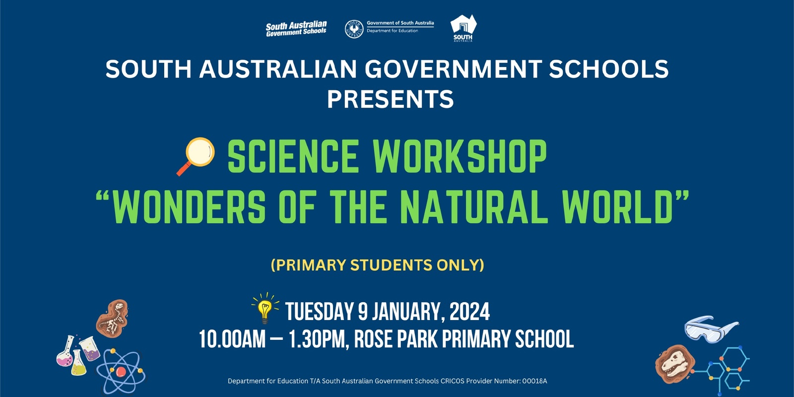 Banner image for  January 2024 School Holiday Program - Science workshop for Primary Students 