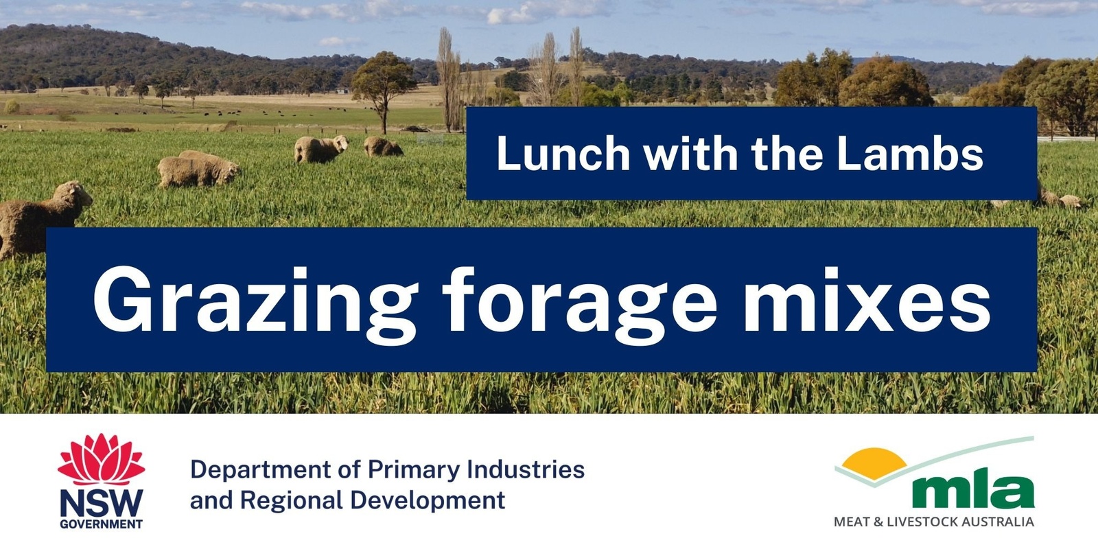 Banner image for Lunch with the Lambs