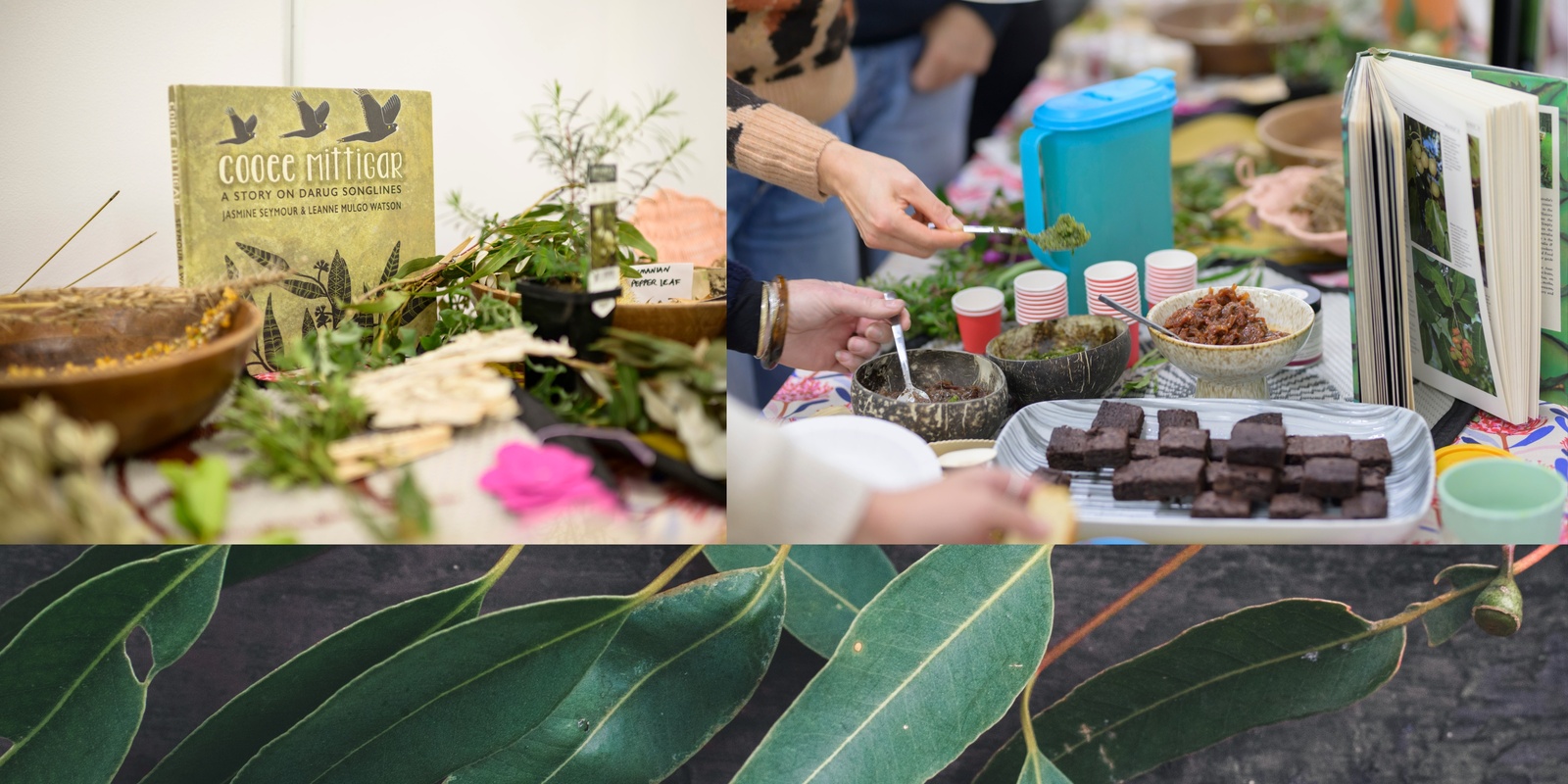 Banner image for Introduction to Bush Foods & Native Plants with Kylie