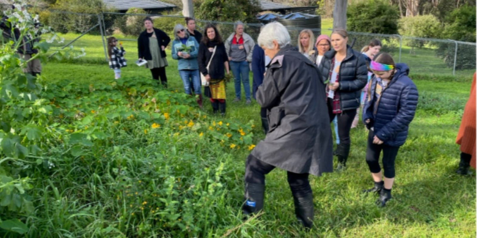 Banner image for Strengthening Mental Health with Herbalist Pat Collins