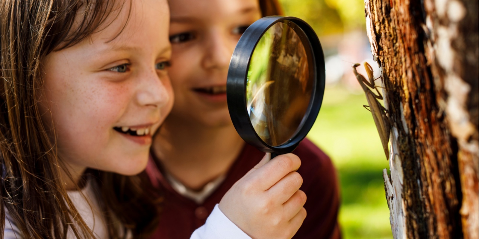 Banner image for Billabong Bioblitz - Kids Animal Adventure Walk (4pm - 4:45pm)