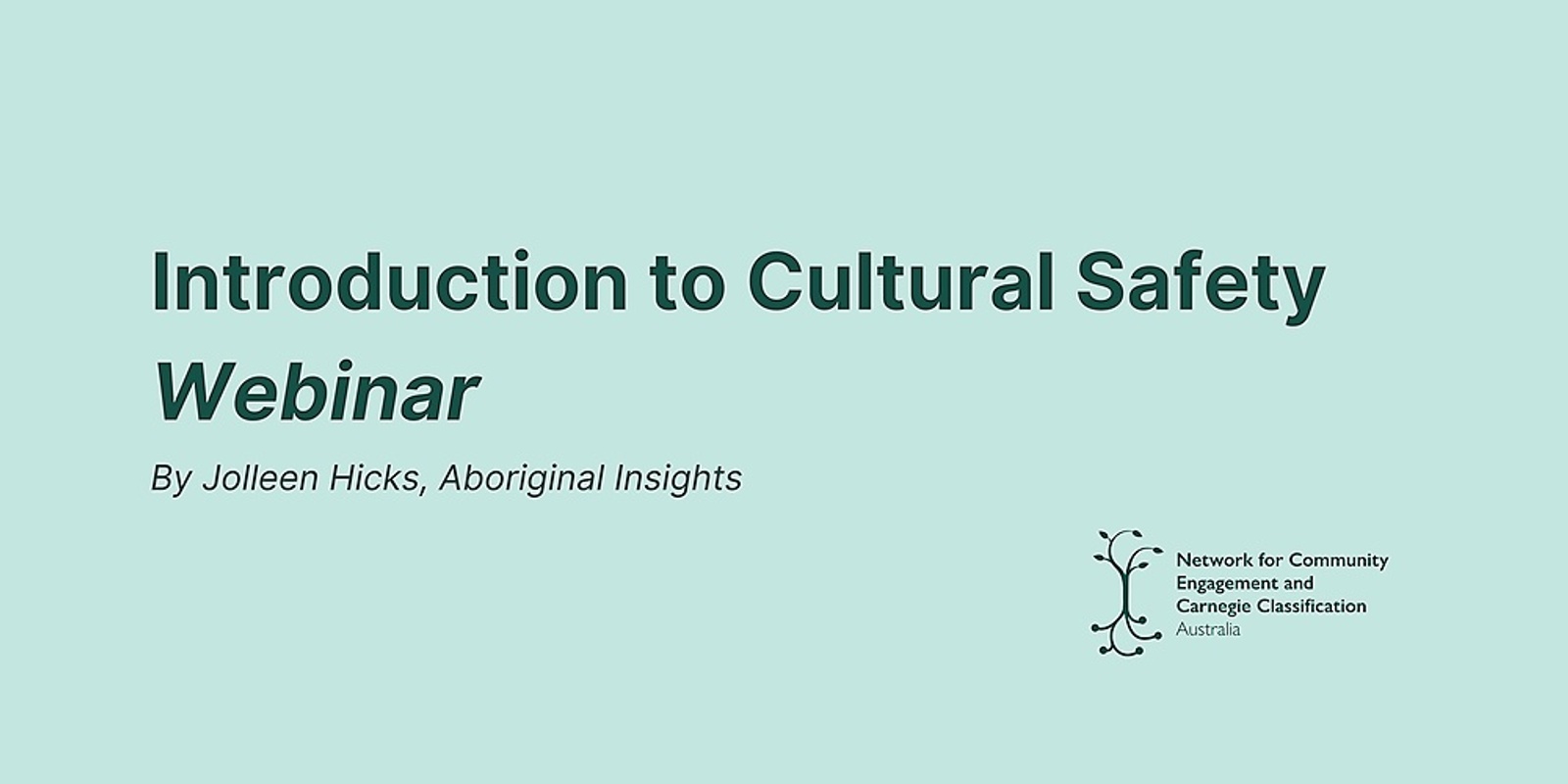 Banner image for Introduction to Cultural Safety Webinar