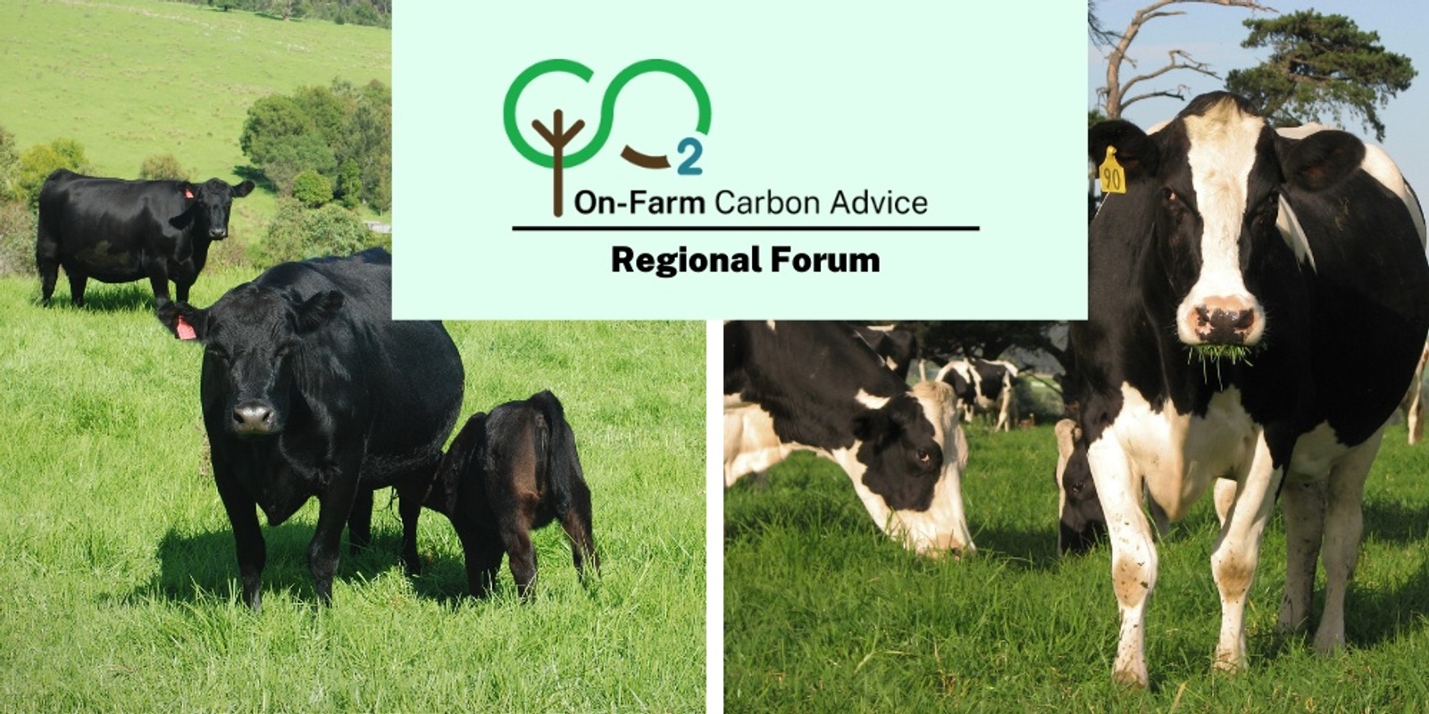 On-Farm Carbon - Regional Forum - Bega
