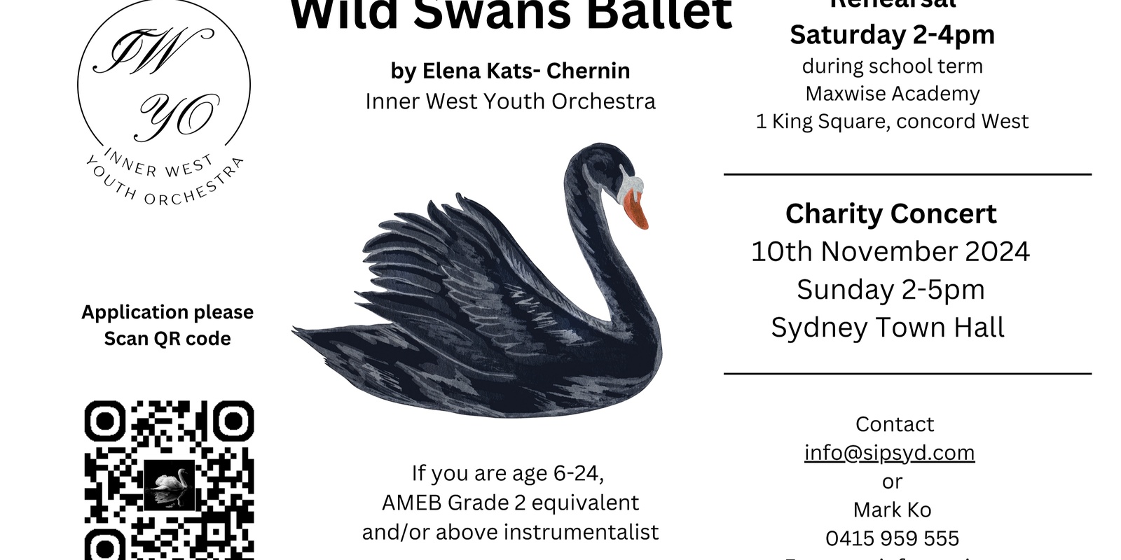 Banner image for Wild Swan Ballet Suite Holiday Workshop