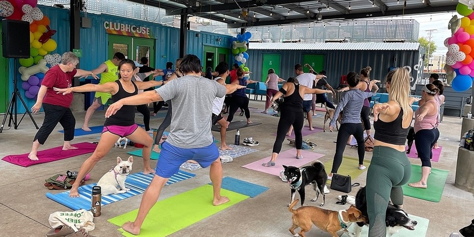 Banner image for Dog Yoga