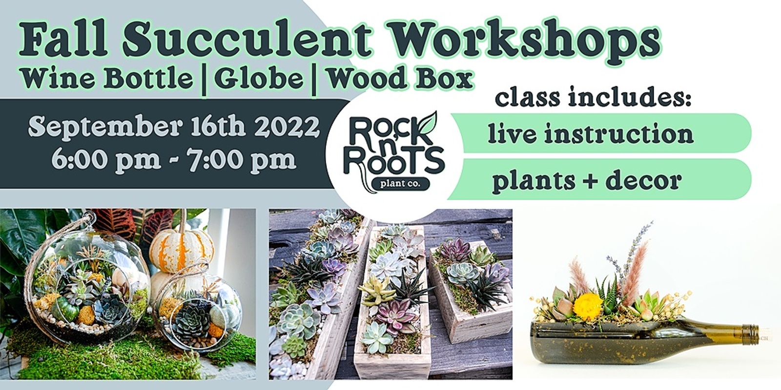 Banner image for Fall-Themed Succulent Workshop at Rock n' Roots Plant Co.