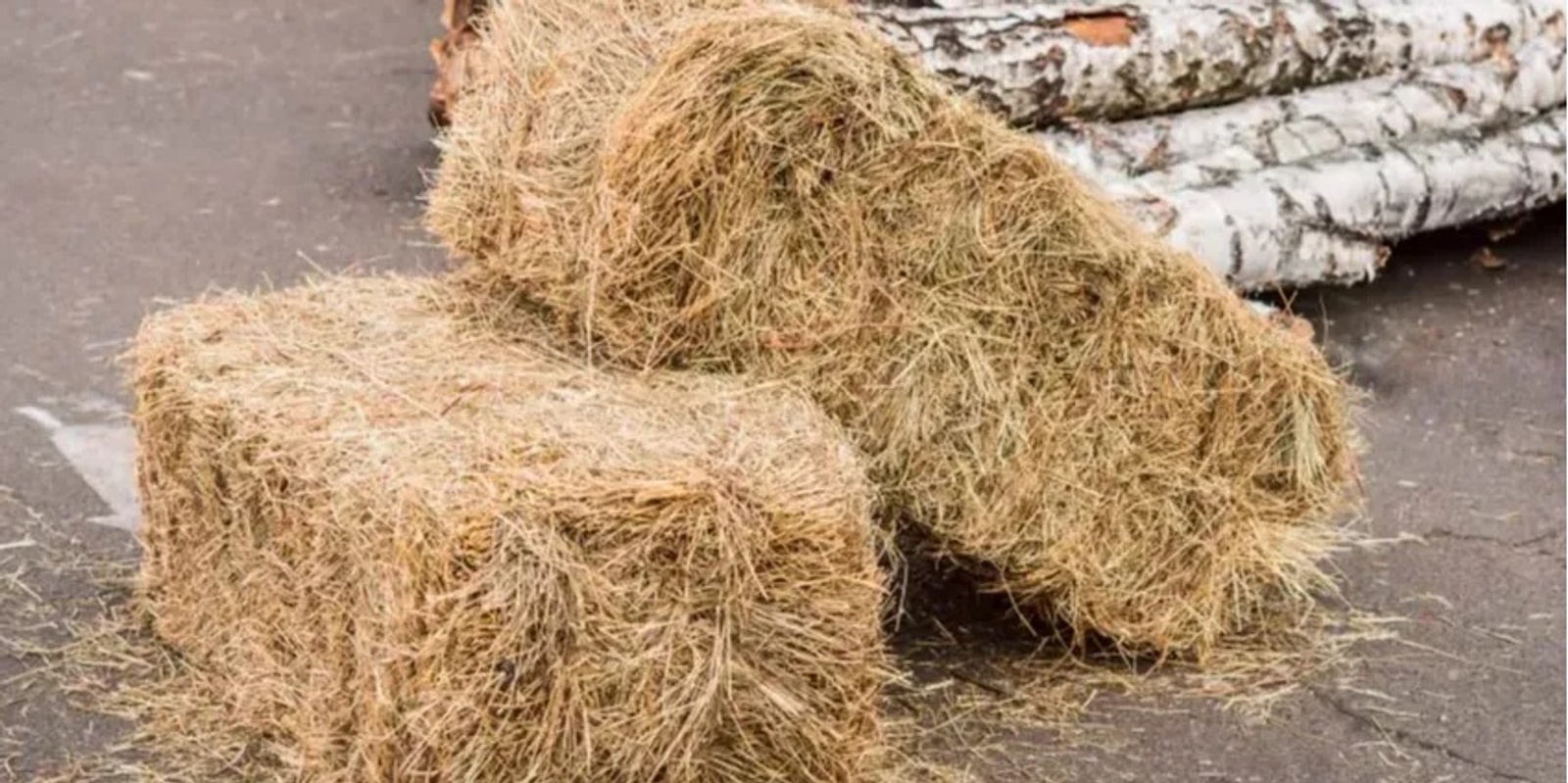 Banner image for Pea Straw For Sale from Tempting Fete 2024