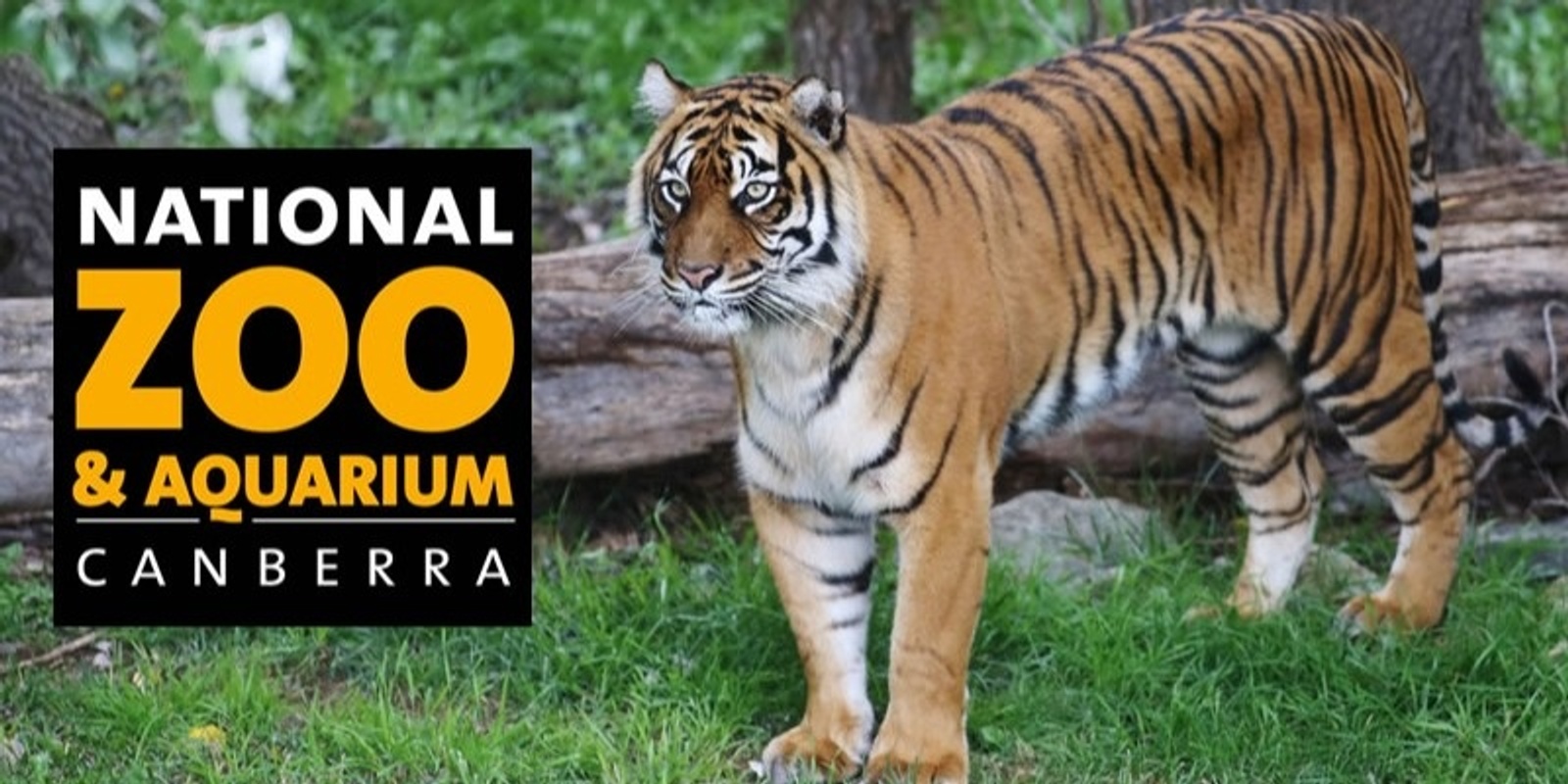 Banner image for National Zoo & Aquarium