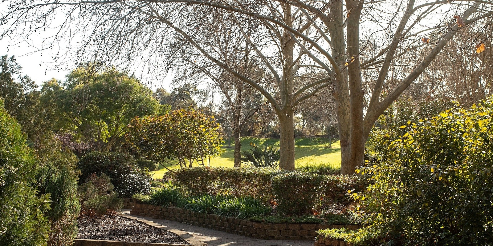 Banner image for Stockade Botanic Park - which plant is that?  plus Nature Scavenger Hunt