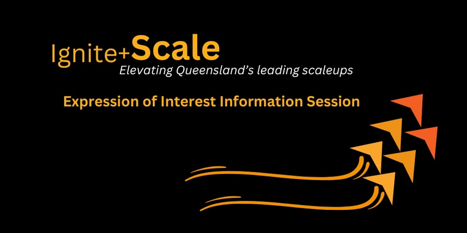 Banner image for Ignite+ Scale Information Session