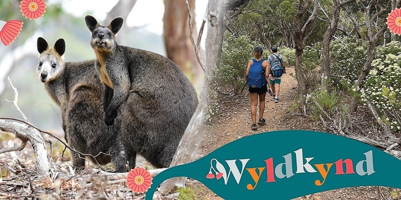 Banner image for Wander Werribee Gorge with Wyldkynd