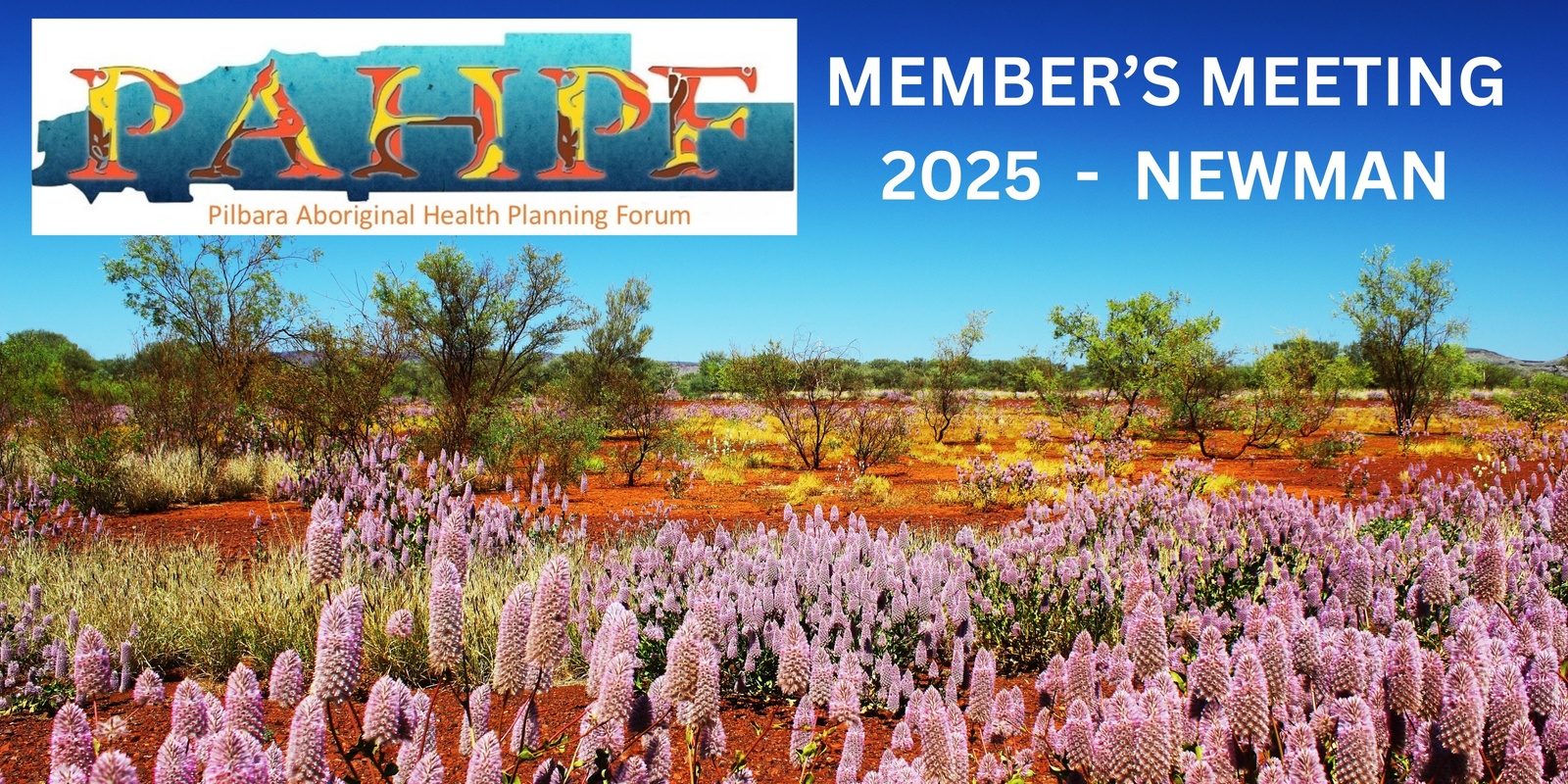 Banner image for PAHPF Members Meeting 2025 #1 - Newman