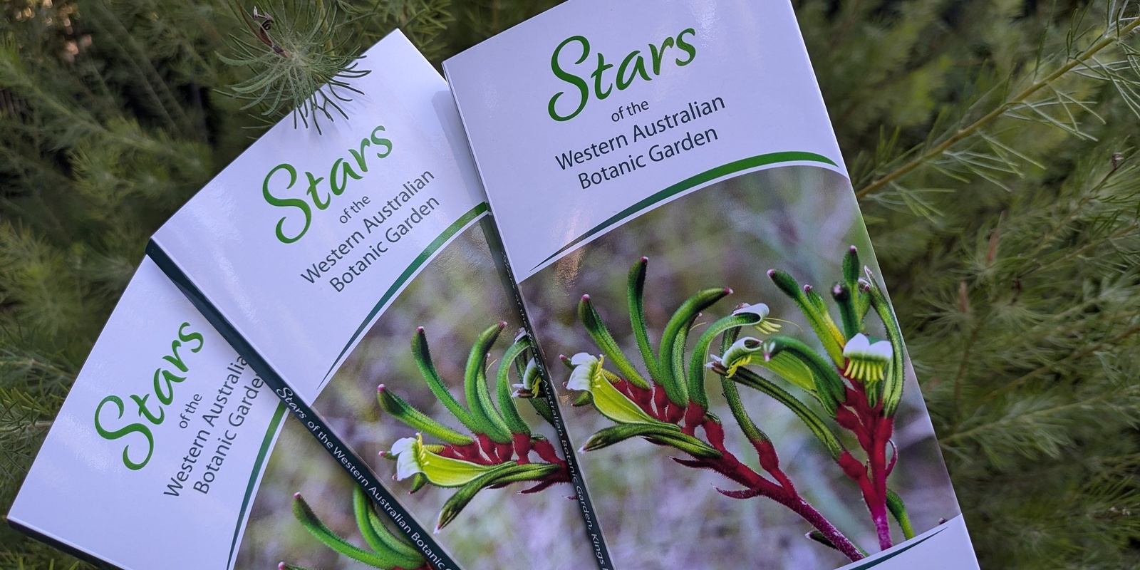 Banner image for Stars of the Botanic Garden launch with guest talk by Digby Growns