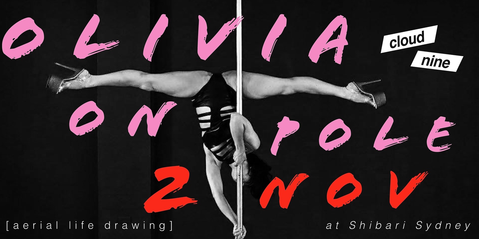 Banner image for Cloud Nine Aerial Life Drawing 