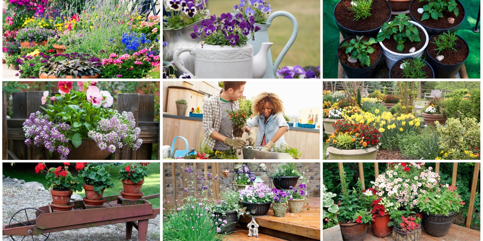 Banner image for The Art of Container Gardening