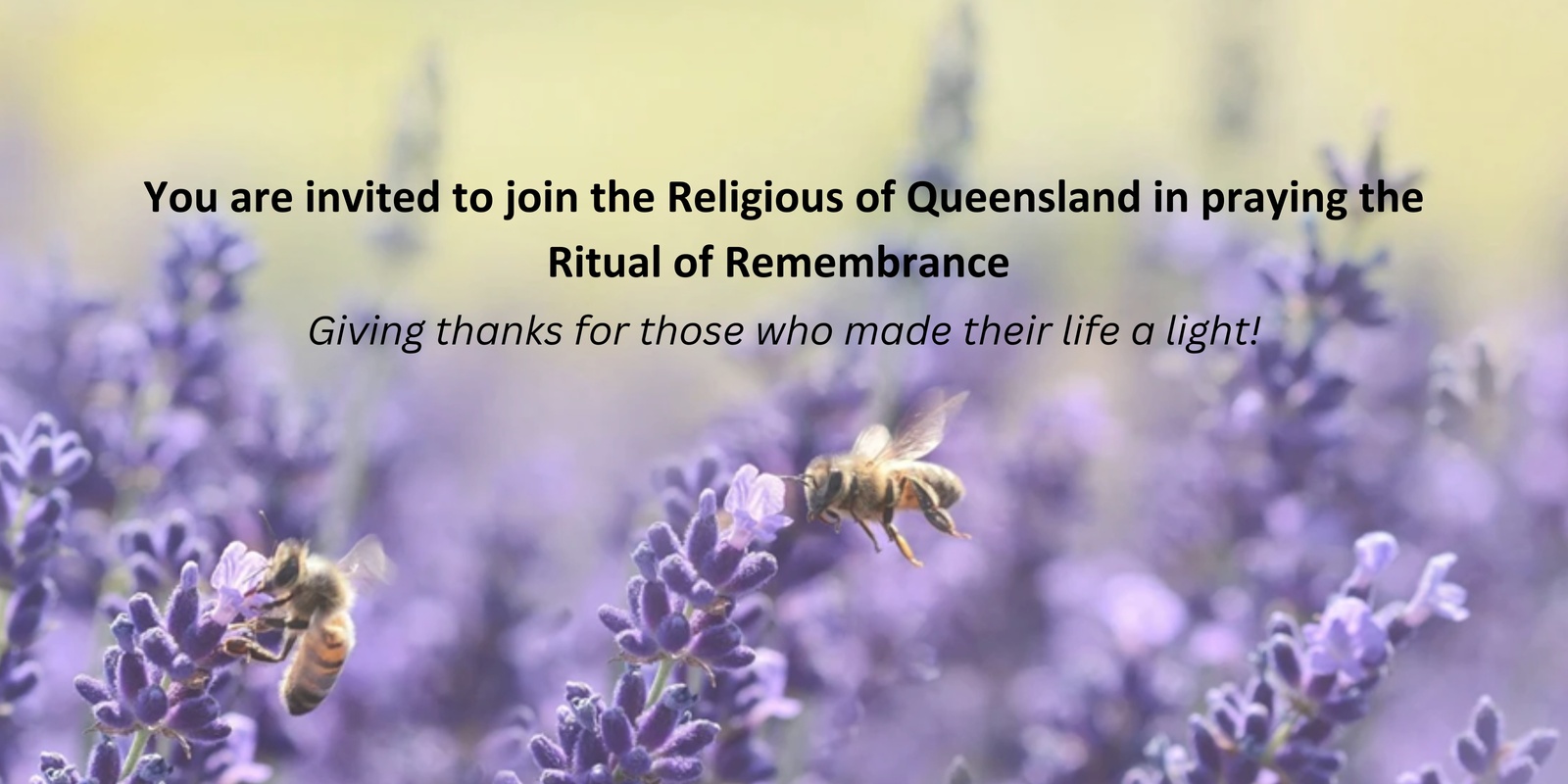 Banner image for 2024 Ritual of Remembrance