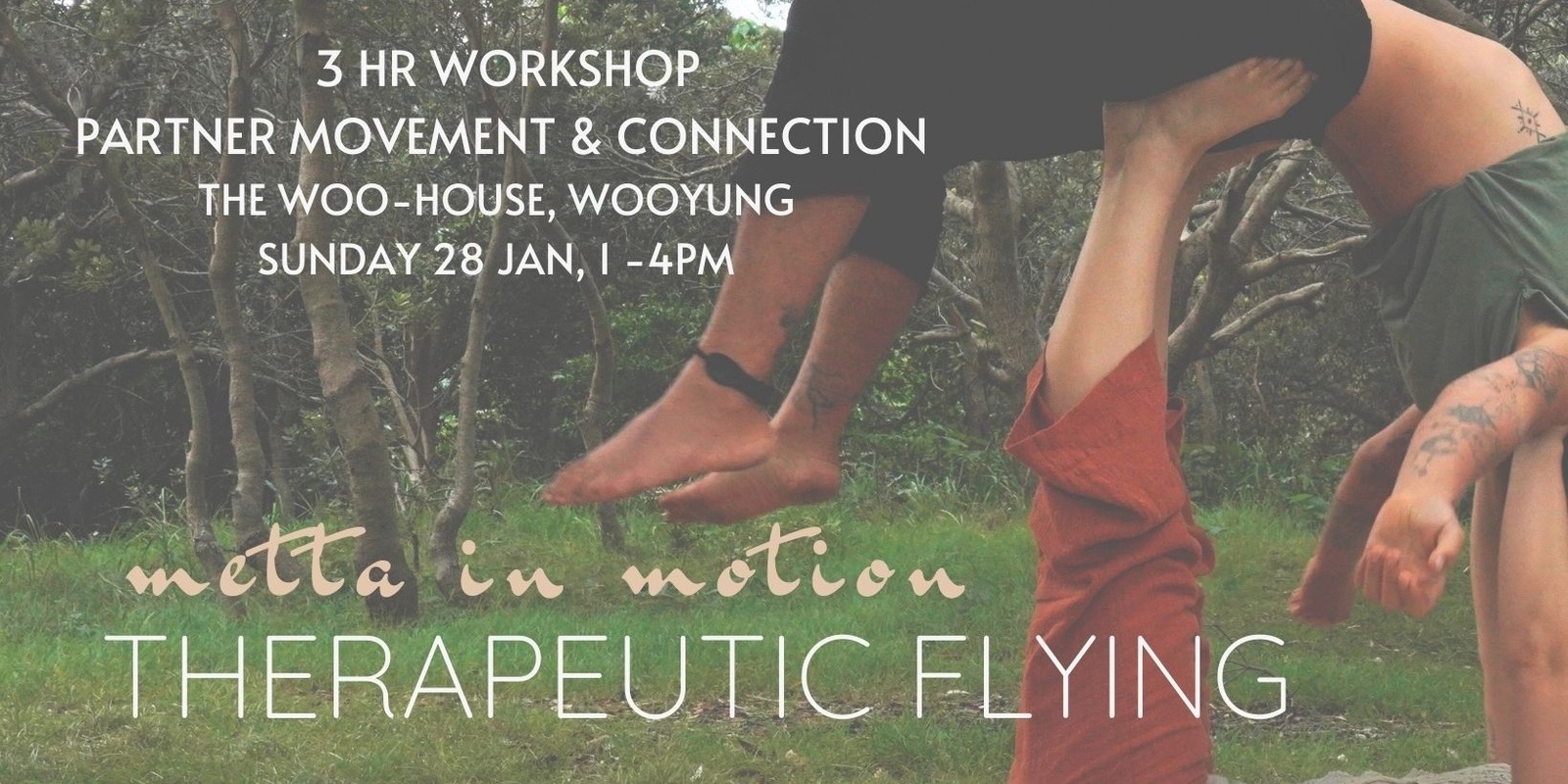 Banner image for Flying Therapeutics: Partner Movement & Connection