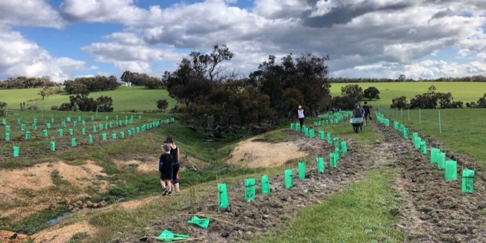 Banner image for Revegetation on Farms