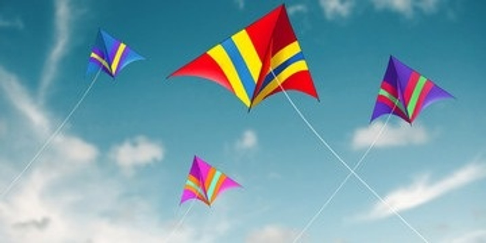 Banner image for Kite making workshop with Kite Kinetics