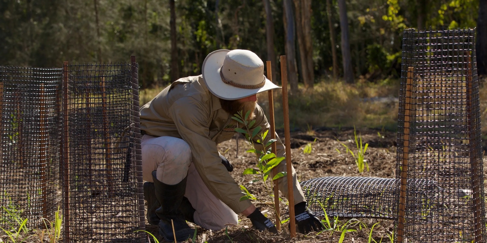 Banner image for Gecko Talk - Bush Regenerators – Biodiversity Champions