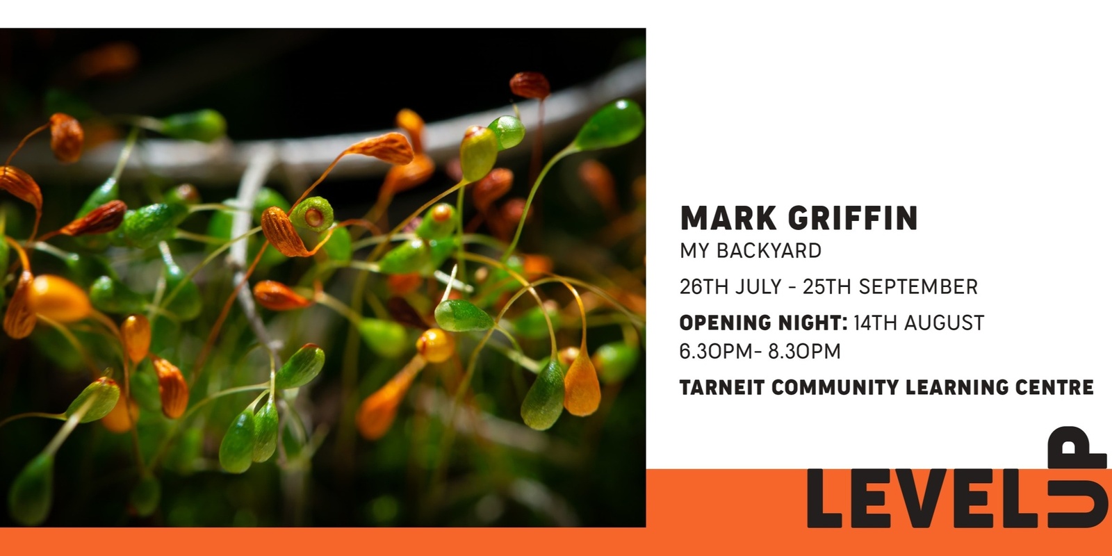 Banner image for Level up - Exhibition opening -  My Backyard by Mark Griffin