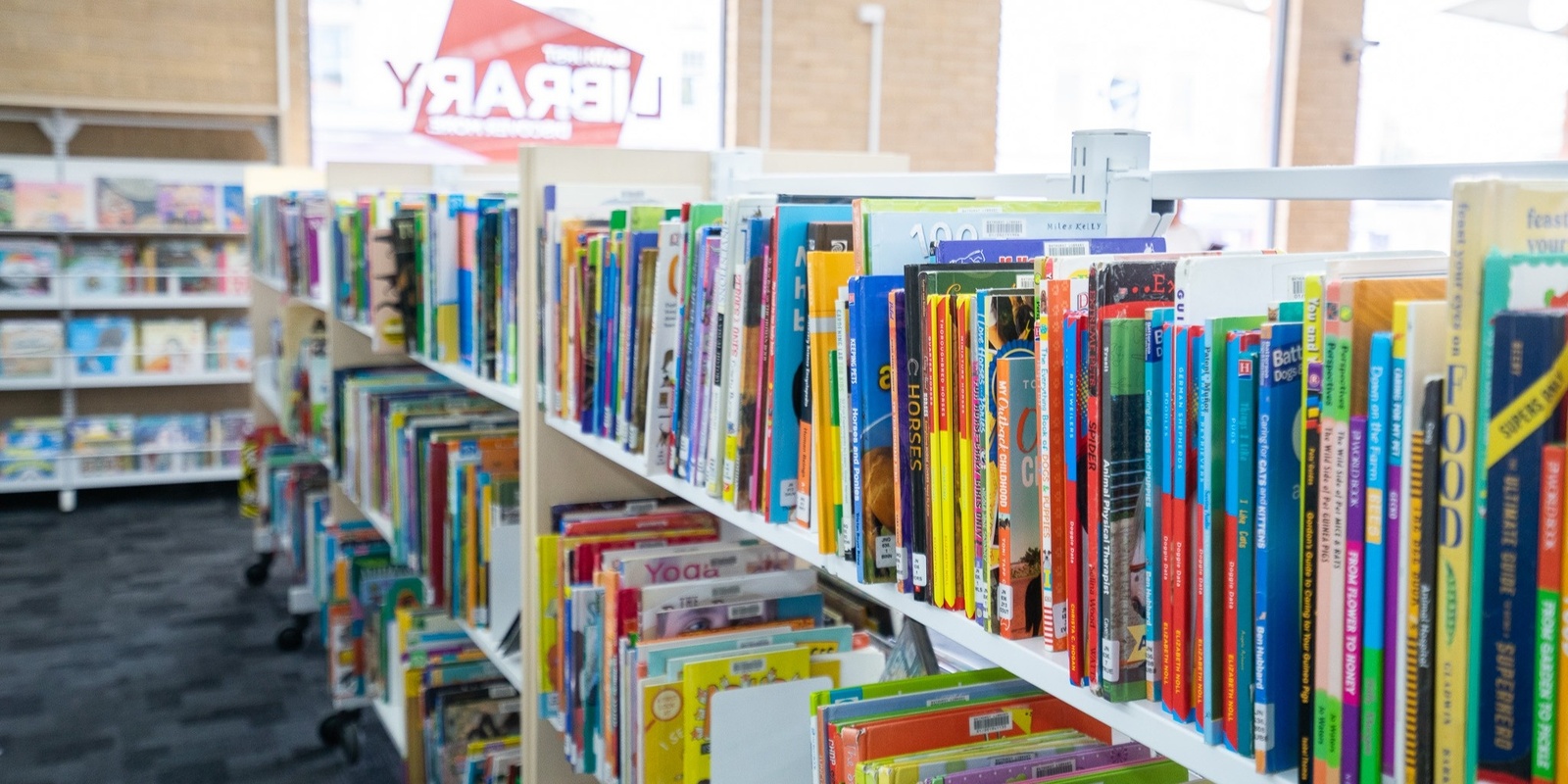 Bathurst Library's banner